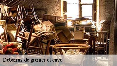 Débarras de grenier et cave  40330