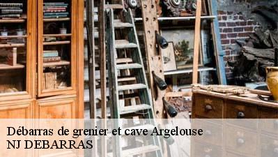 Débarras de grenier et cave  40430