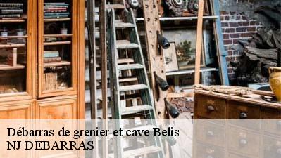 Débarras de grenier et cave  40120